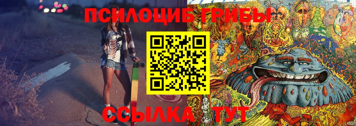Псилоцибиновые грибы прущие грибы Моздок