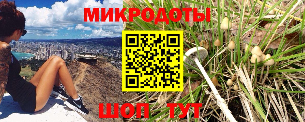 Моздок  Псилоцибиновые грибы мухоморы  где можно купить   Вход с VPN 